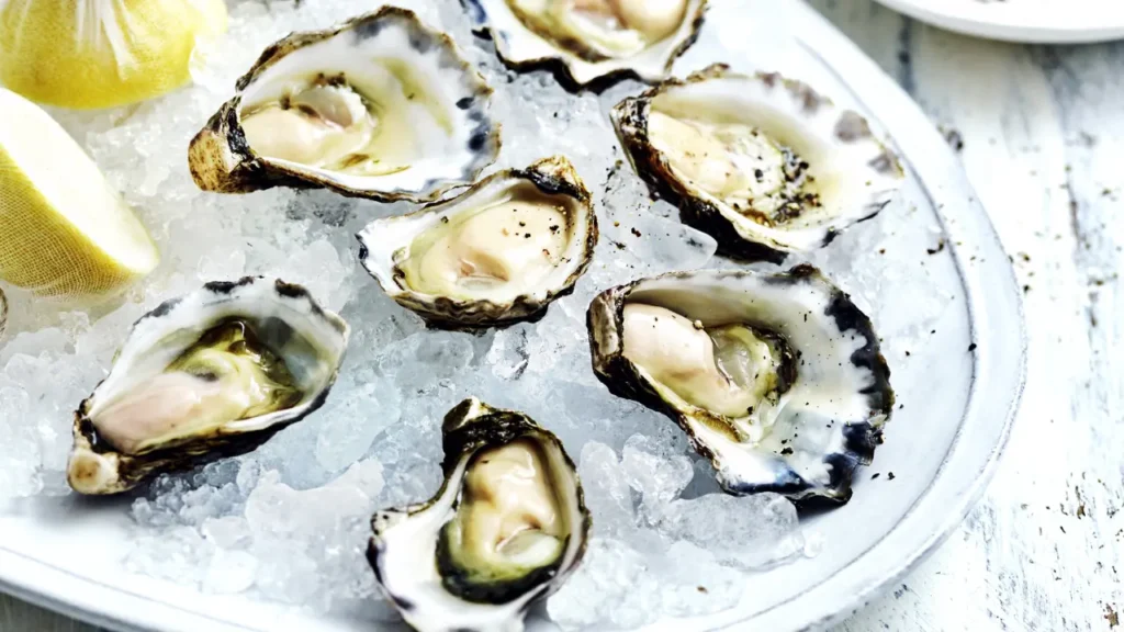 Tasmanian oysters